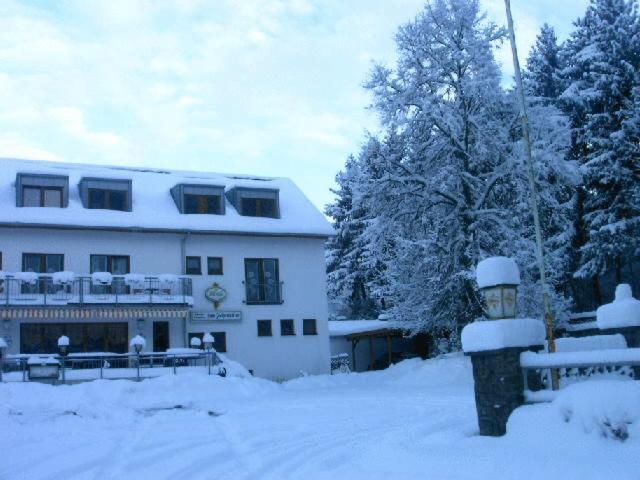 Waldpension Zum Felsenkeller Lichtenfels-Sachsenberg Exterior foto